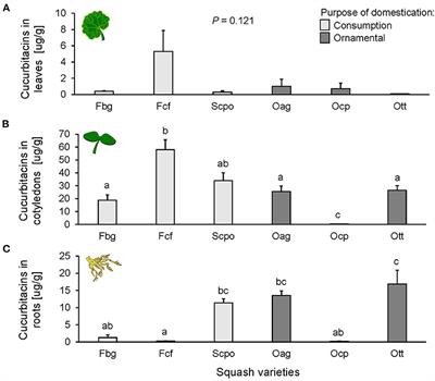 Squash Varieties Domesticated for Different Purposes Differ in Chemical and Physical Defense Against Leaf and Root Herbivores